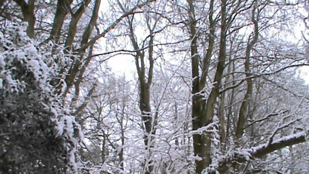 One Snowy Winters Day | Song Thrush Productions