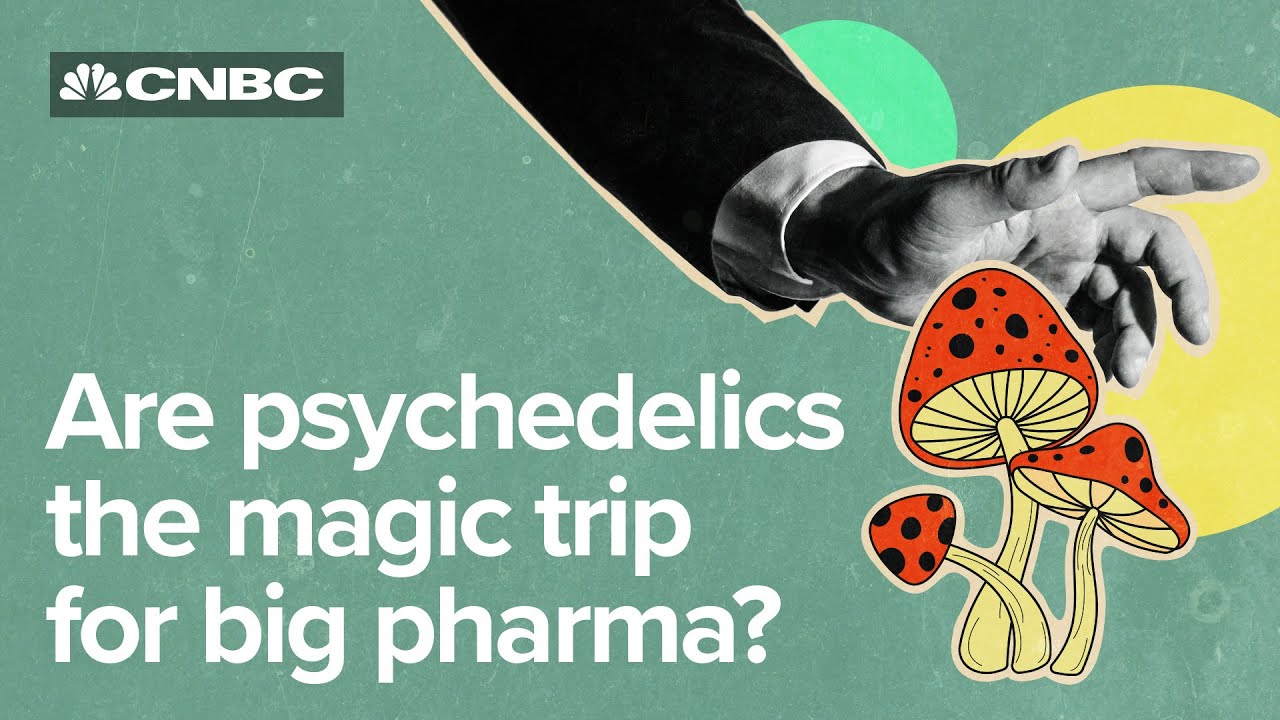 Psychedelics might change mental healthcare. Will investors follow?