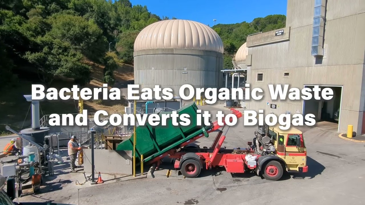 Co-Digestion: California turning food waste into energy