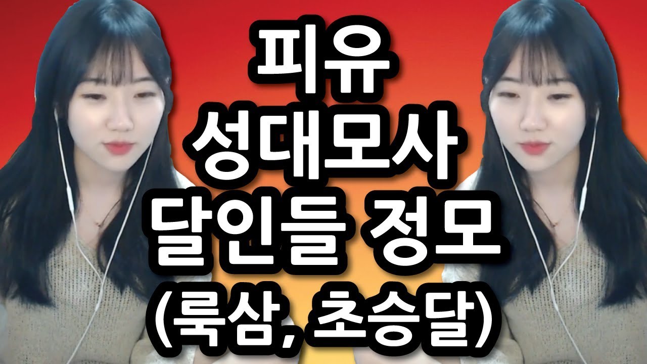 한자리에 모인 피유 성대모사의 달인 홍차와 룩삼 (BONUS 초승달 성대모사의 달인)