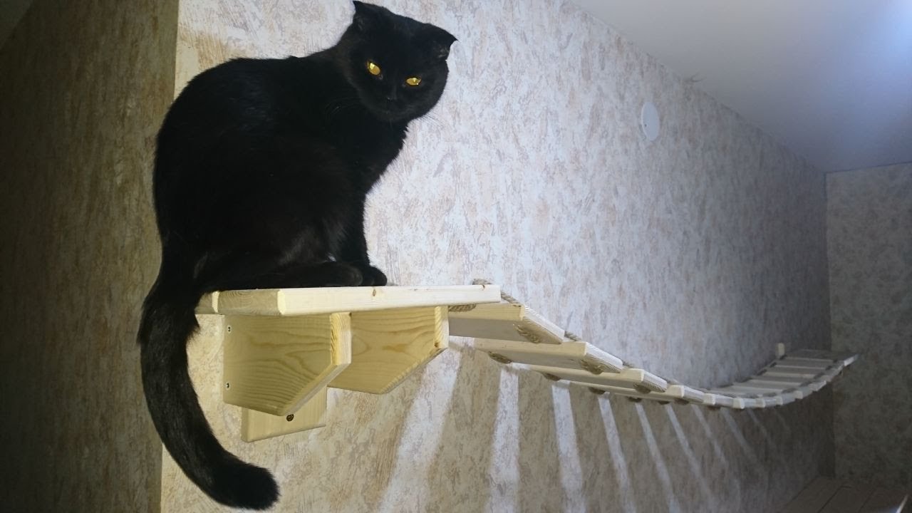 Как из дерева сделать верёвочный мостик для котиков. Кошачья лесенка своими руками. Коты будут рады.