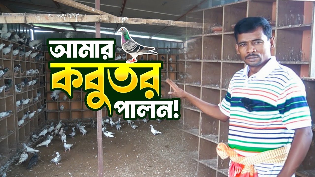 আমার কবুতর পালন! || বৃদ্ধাশ্রম || Milton Samadder || Child & Old Age Care.