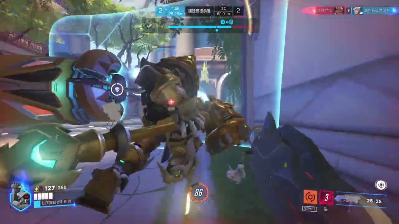 Overwatch 這些人沒有浮木