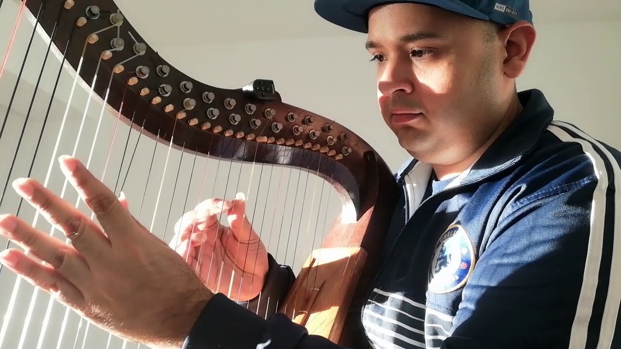 ARPAMARTINEZ Tutorial De Nuevo en el Arpa