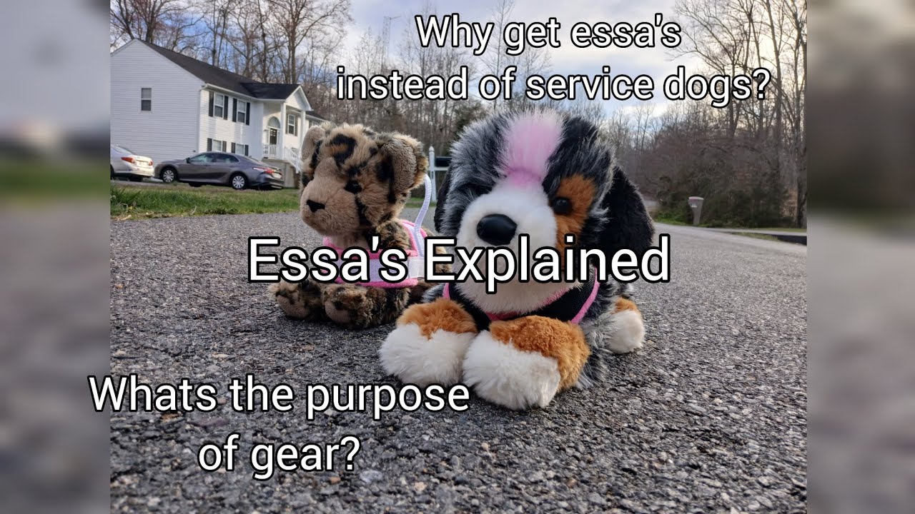 Essa's explained  @wyntermassie7027