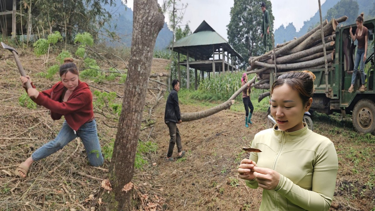 The female president returns to her hometown to cut firewood