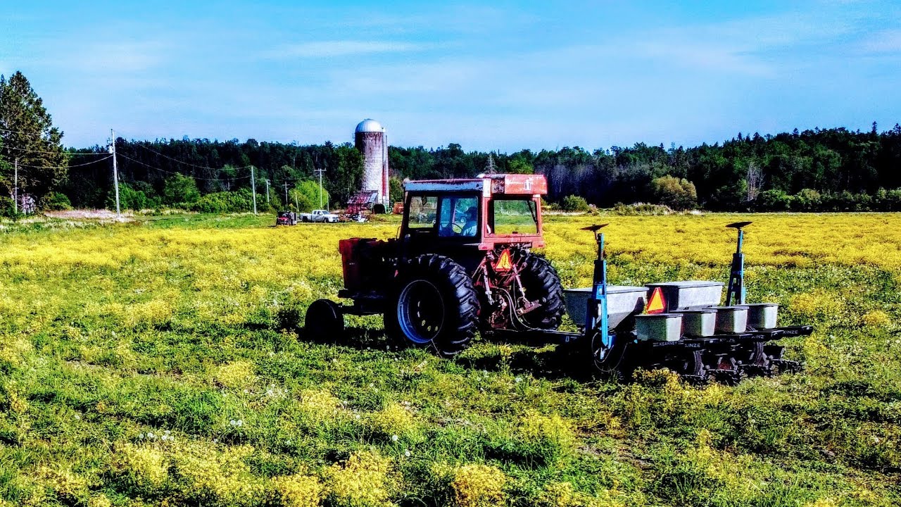 planting corn with the 1066