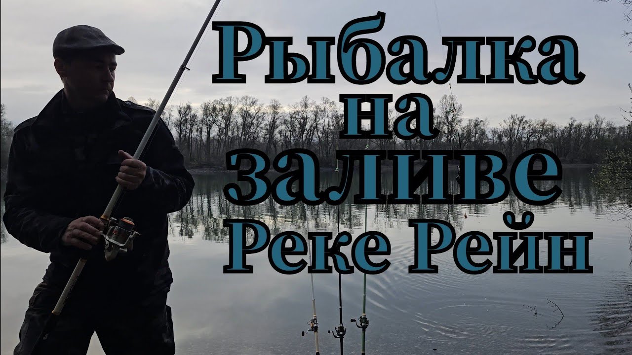 Активная рыбалка 🎣 на заливе реке Рейн клюнул подлещик #рыбалка #angeln #fishing #плотва #pesca #лещ