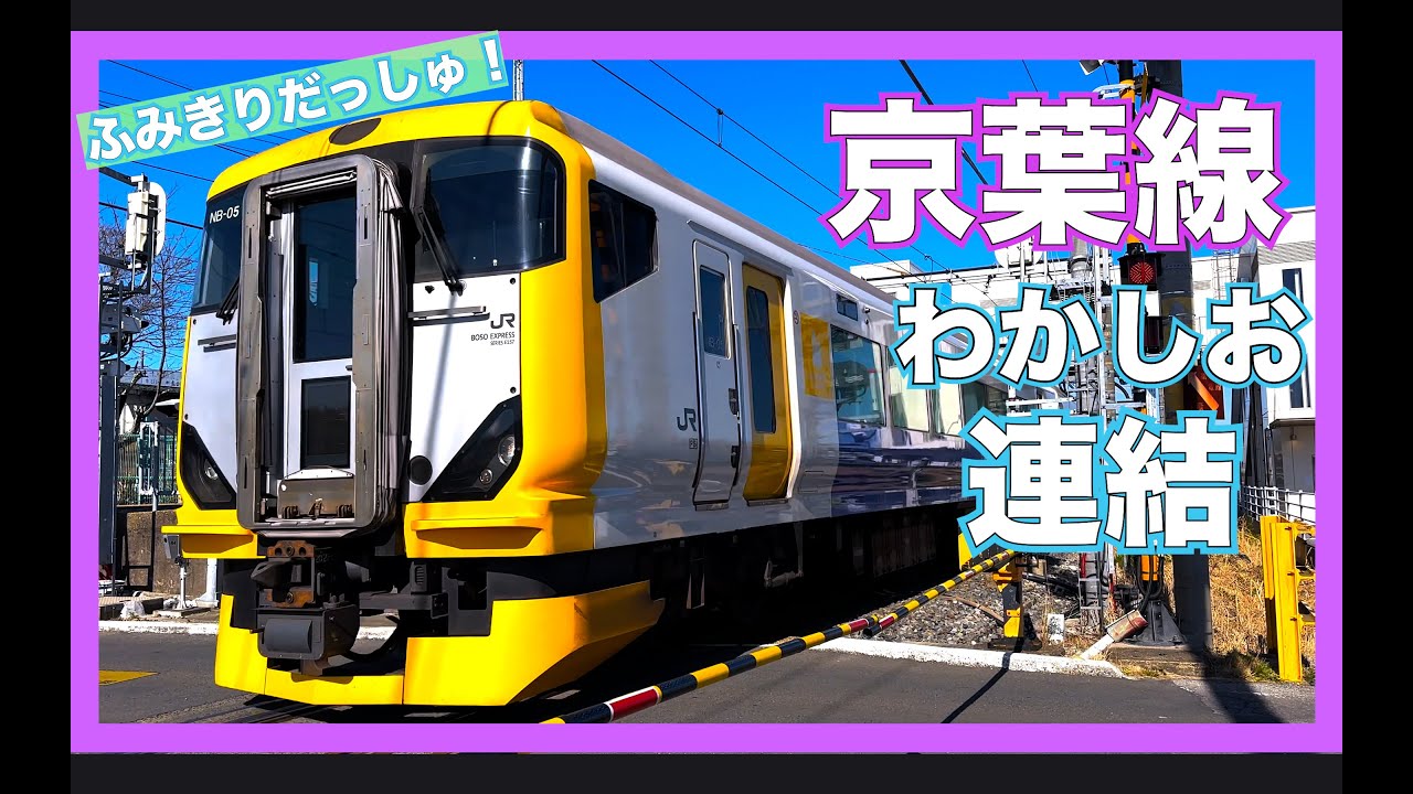 【いろんなでんしゃ】に迫力の連結！京葉線と外房線特集！踏切　通勤快速　特急わかしお　japan railway crossing railrord　train video 電車　切り離し　kereta