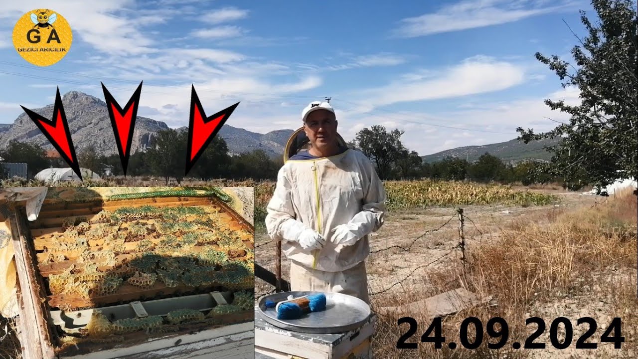 iki katlı kovanda bal var mı bakalım. Beekeeping.