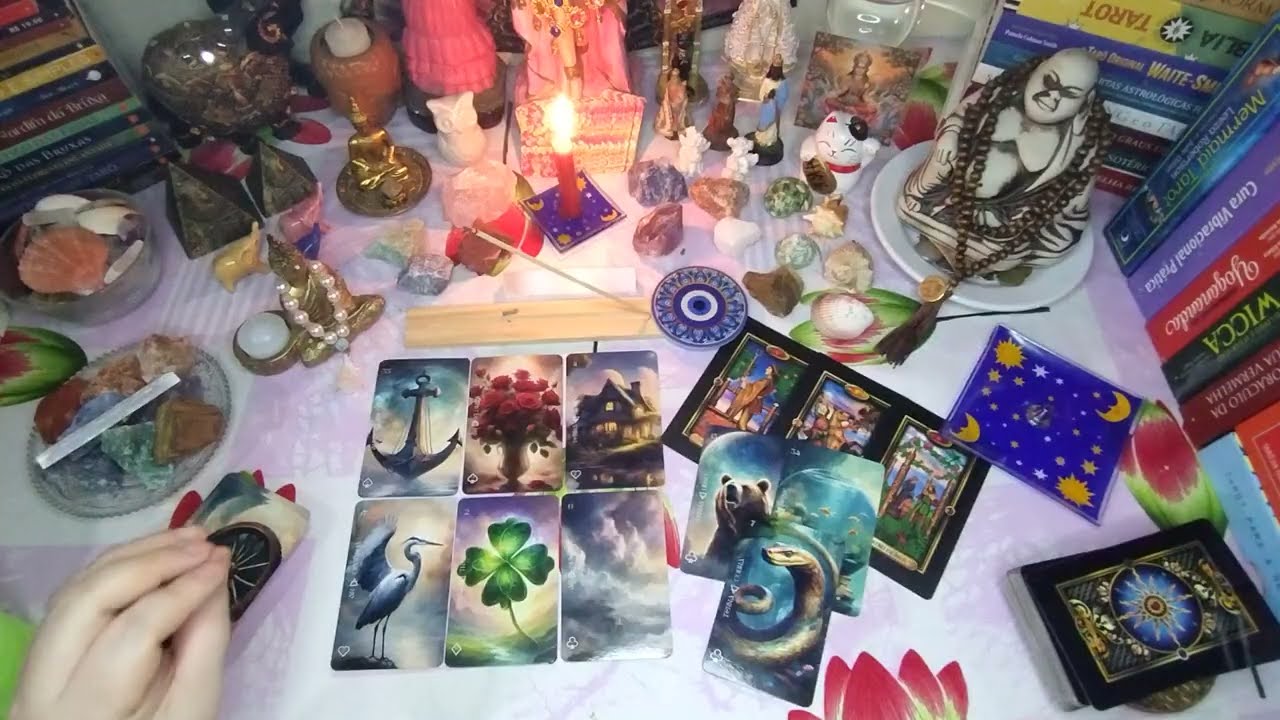 Ser Amado vai procurar? Quais atitudes?👩‍❤️‍💋‍👨📱📞84994207910