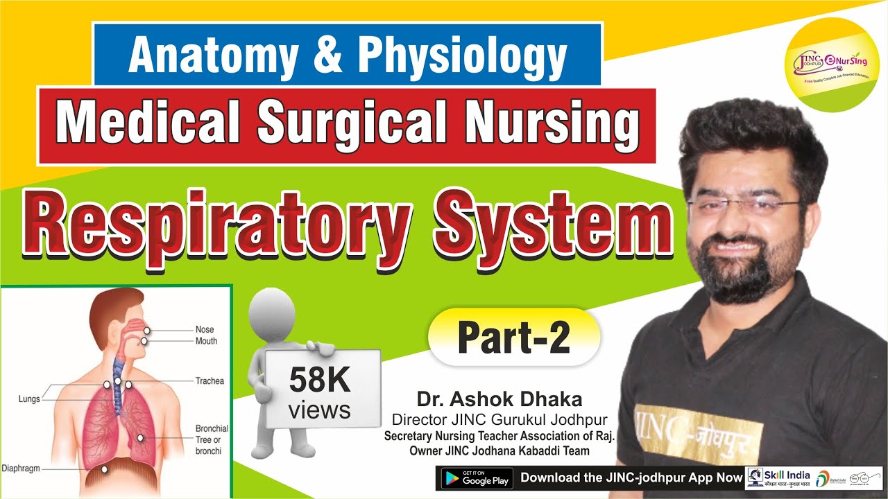 Respiratory System Part-2