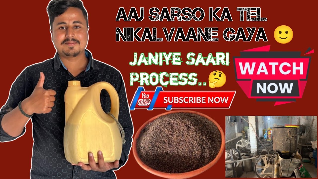 Sarso ka tel 😱,Sarso ka khet😉 #litilpandeyvlogs #marco #rottweiler #food #villagevlog #dailyvlog 
