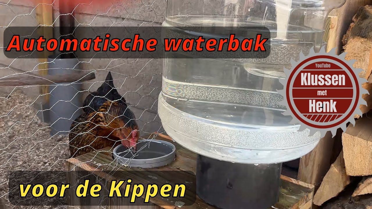 Met dit systeem hebben je kippen altijd genoeg water