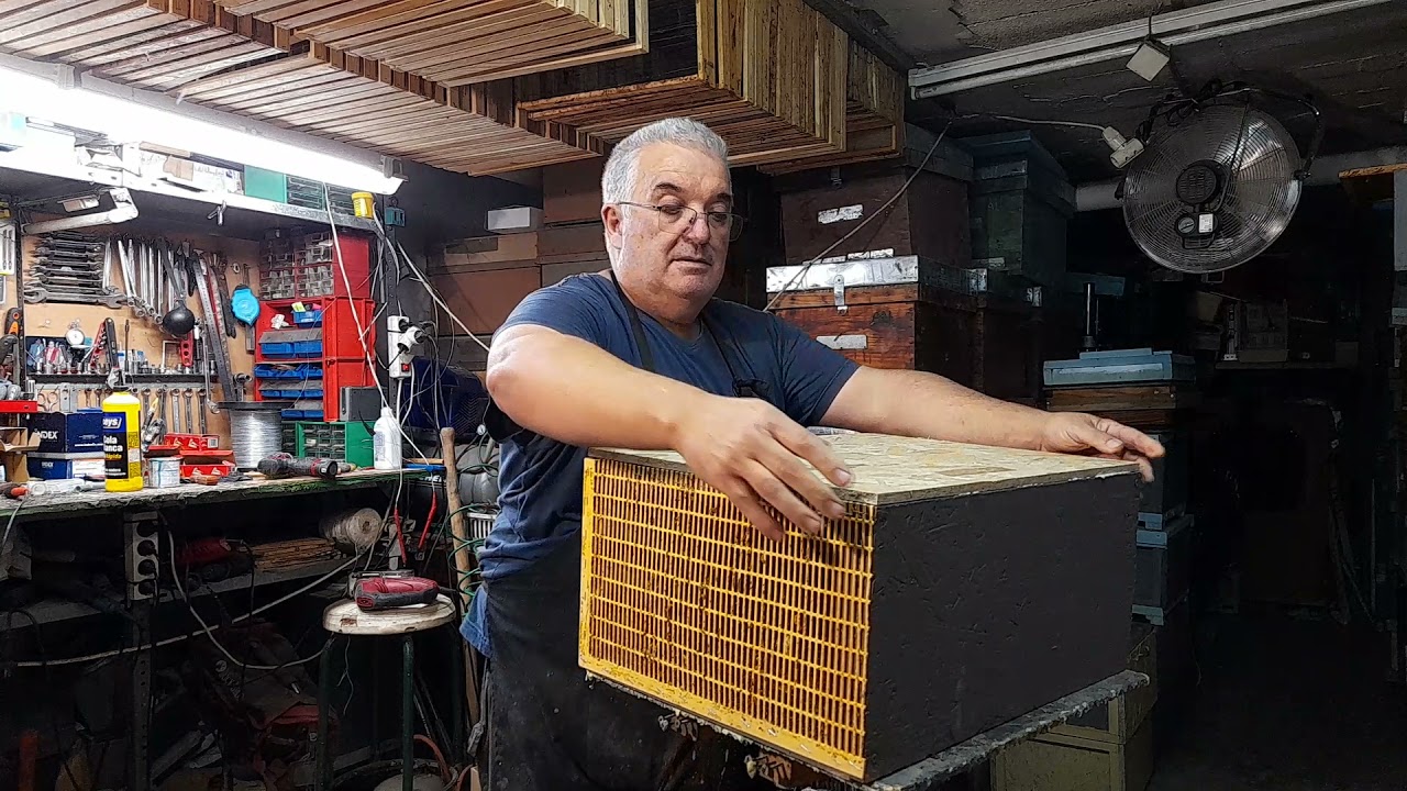 Como hacer Caja-Trampa para Vespa Cabro, Orientali o Velutina.