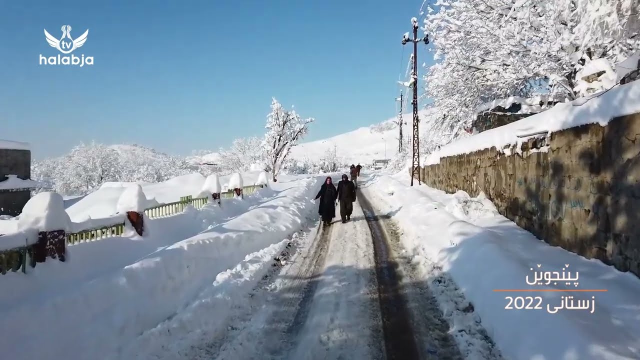 سروشتی پێنجوێن - زستانی 2022