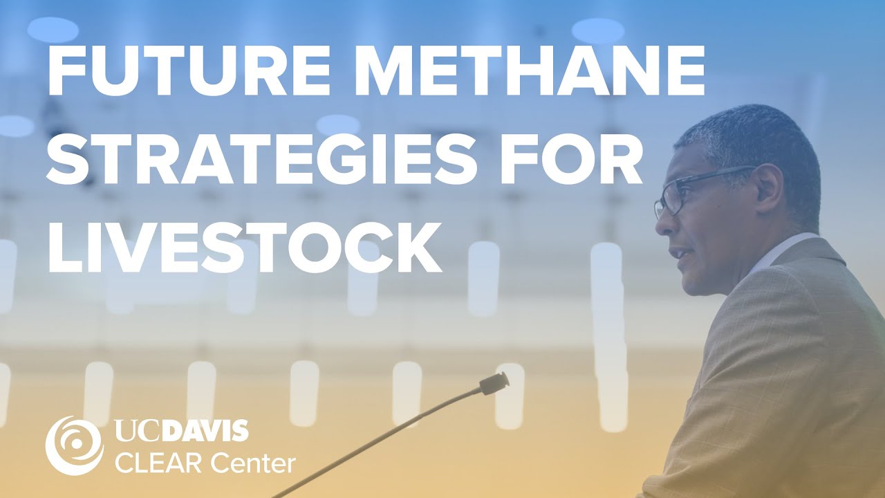 The Future of Methane Reduction in Animal Agriculture