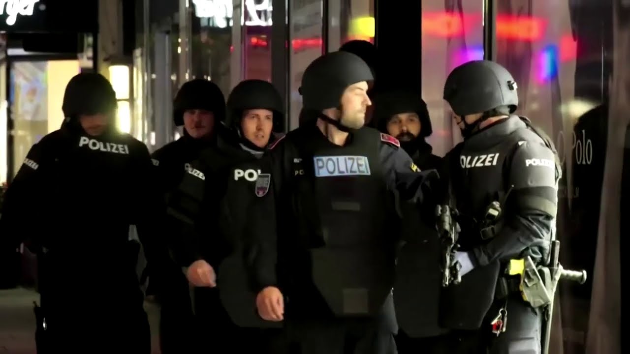 Vienna gunman acted alone, says minister