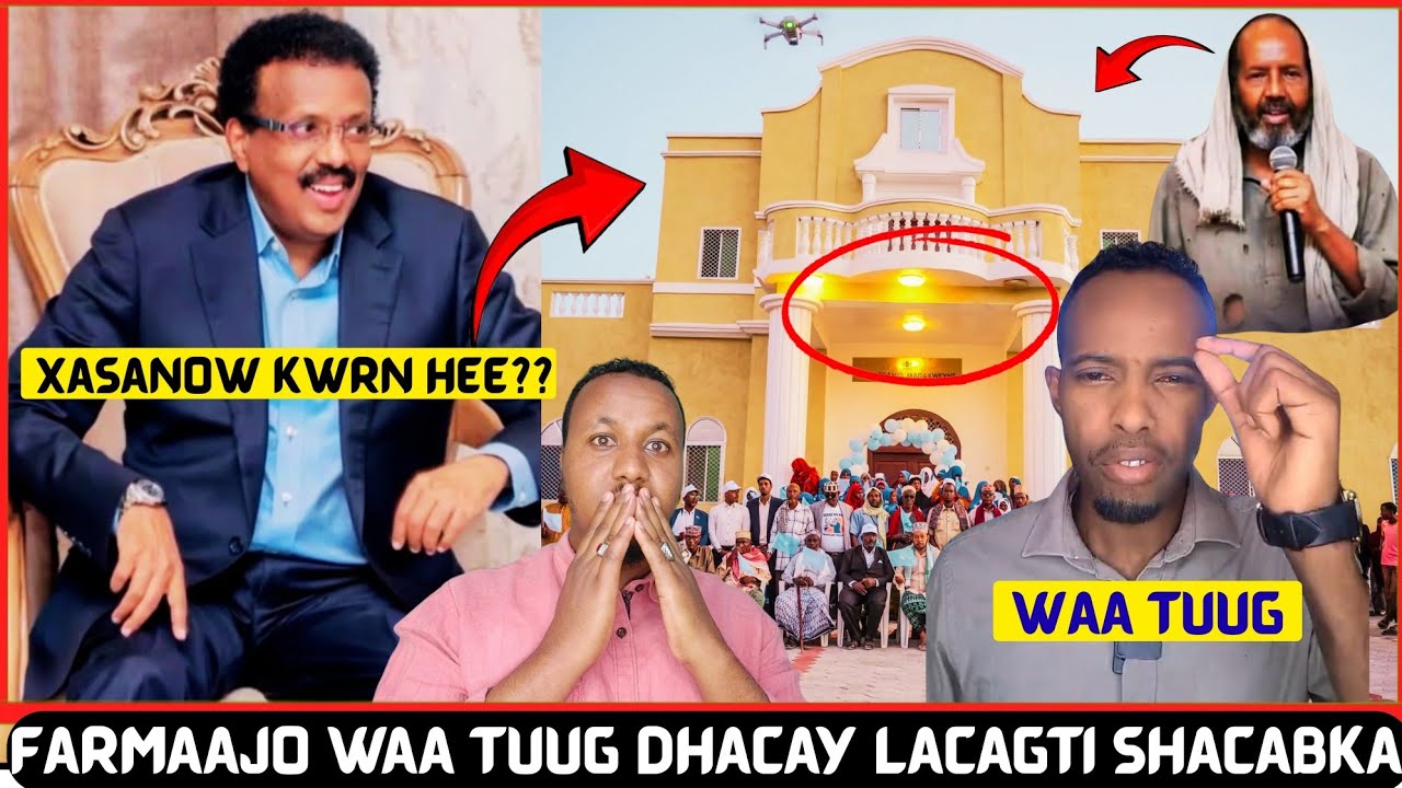 Farmaajo Xitaa Buush In Loodhisa Uma Qalmo Taageerasha Xassan Sh Oo Afka Furtay Farmajo Waa Tuug YAB