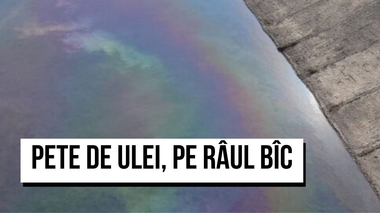 Pete de ulei, pe râul Bîc. Un grup de lucru, format „de urgență”, investighează sursa poluării