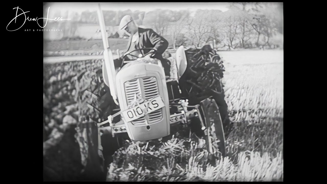 Ferguson 35 Tractors Ploughing In The 1950's