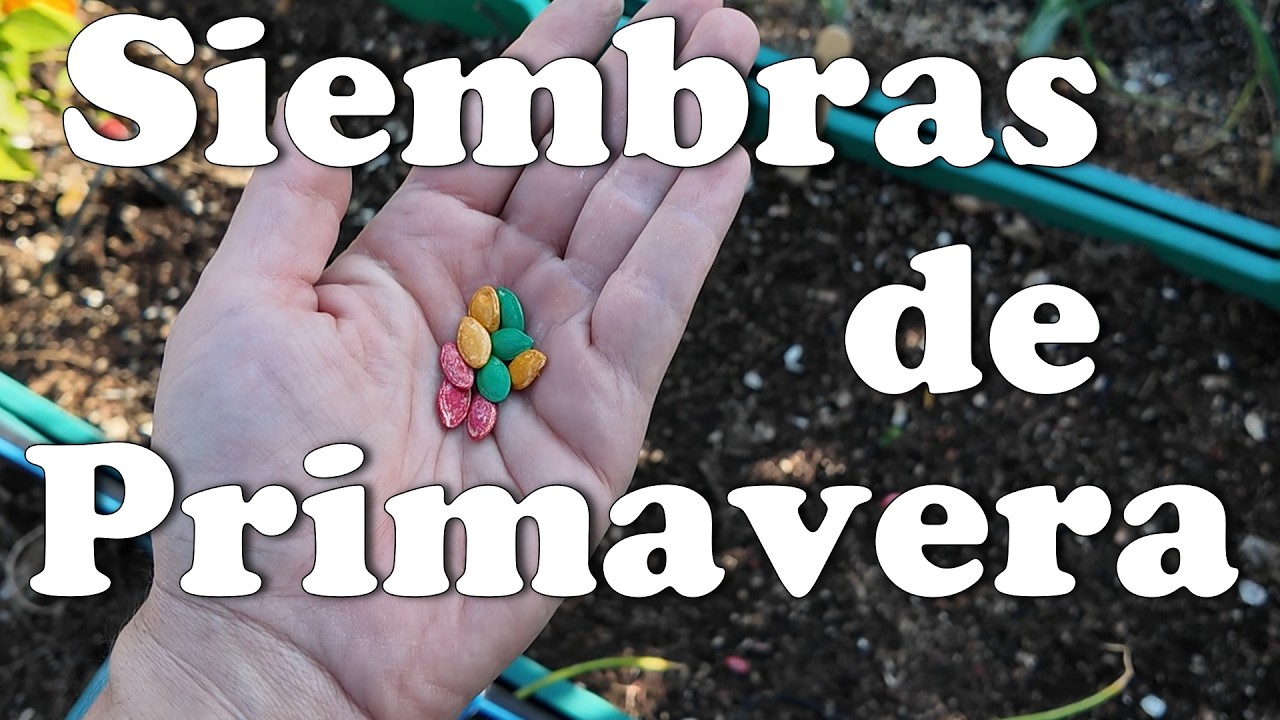 3 - Siembras de primavera 2026