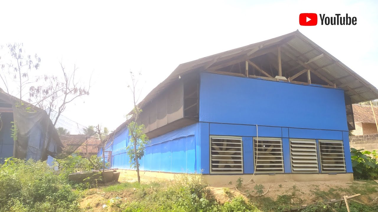 DAY 22 - Closed house broiler farm in Indonesia