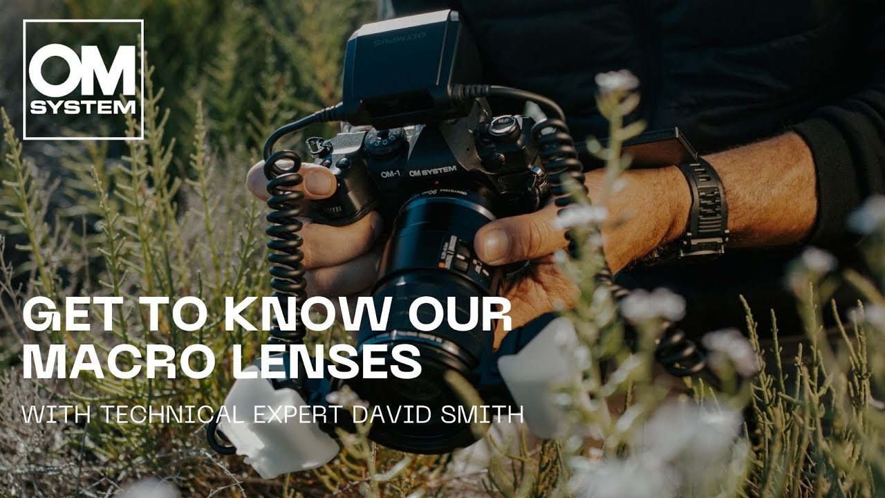 OM SYSTEM macro lens comparison: What's the right lens for you?