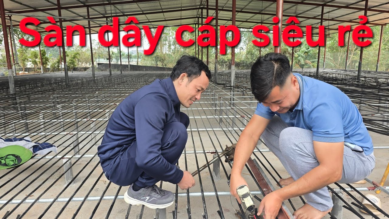 Hướng dẫn làm chuồng sàn nuôi vịt ngan siêu tiết kiệm