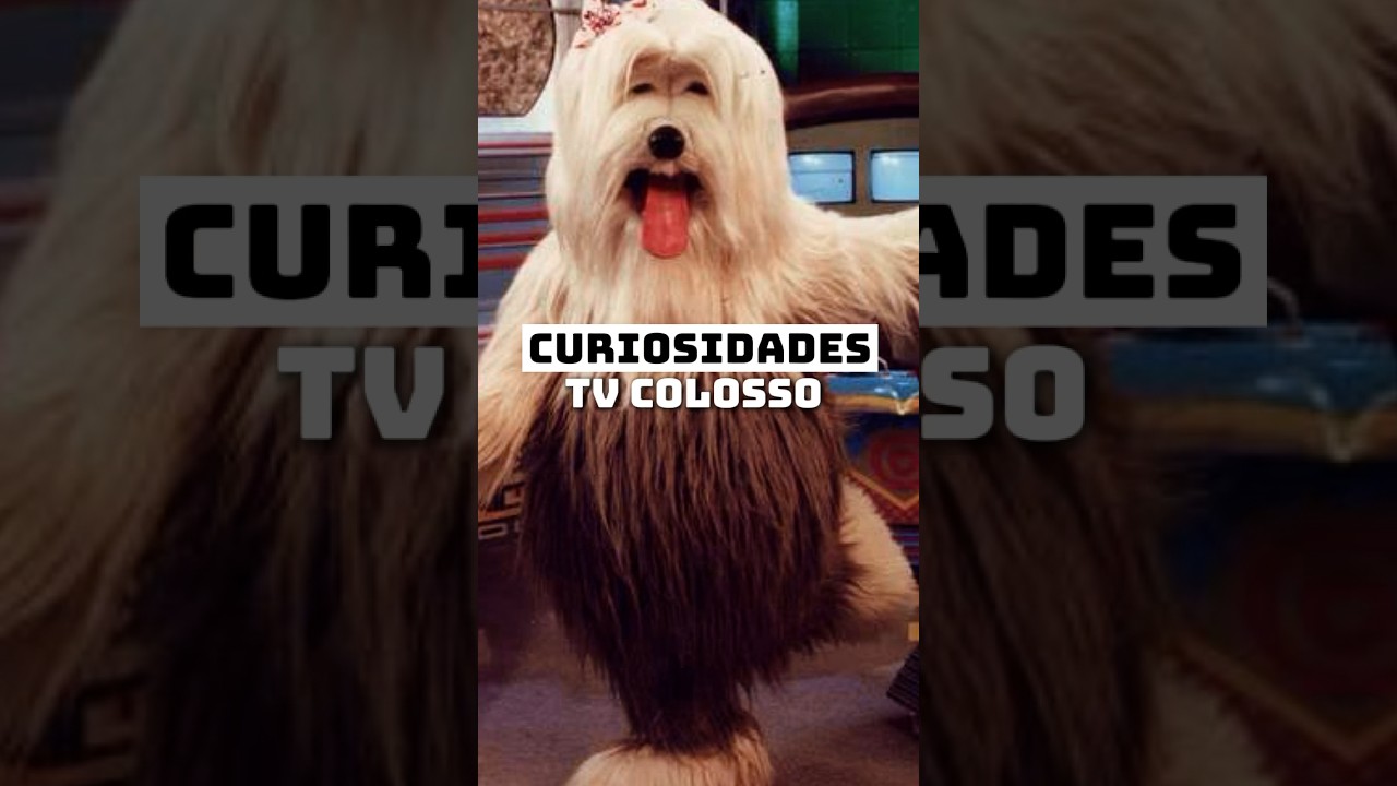 CURIOSIDADE TV COLOSSO #tvcolosso #nostalgia #anos90 #tvbrasileira #programadetv #cachorro