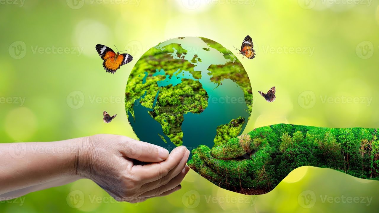 Rally Advance Public School | Save Environment | Save Earth
