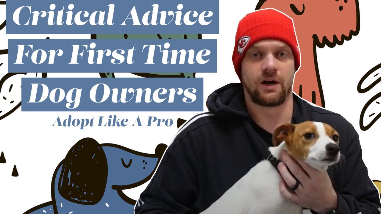 Critical Advice For First Time Dog Owners: Adopt Like A Pro - Top Tips For First Time Dog Owners