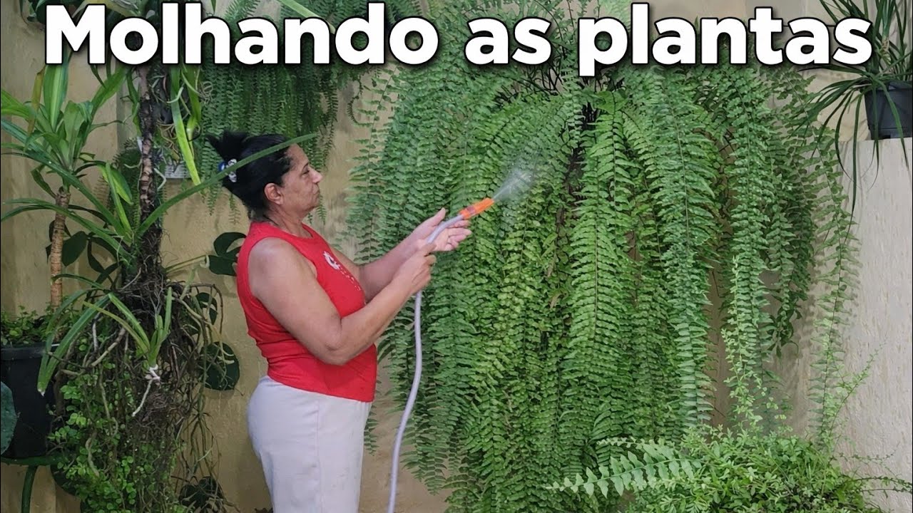 ATUALIZAÇÃO + MOLHANDO  PLANTAS 🌵🌴🌹