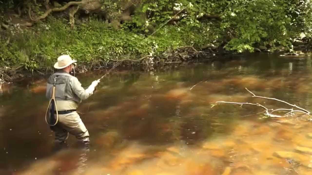 Mayfly Tactics