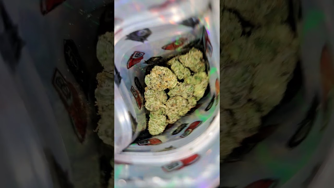 zazitos #backpackboyz #california #gas #420 #legal #exotic #zazitos