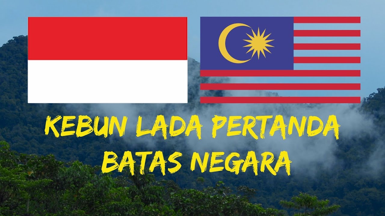 Indonesia Dengan Malaysia Dipisah oleh Kebun Lada