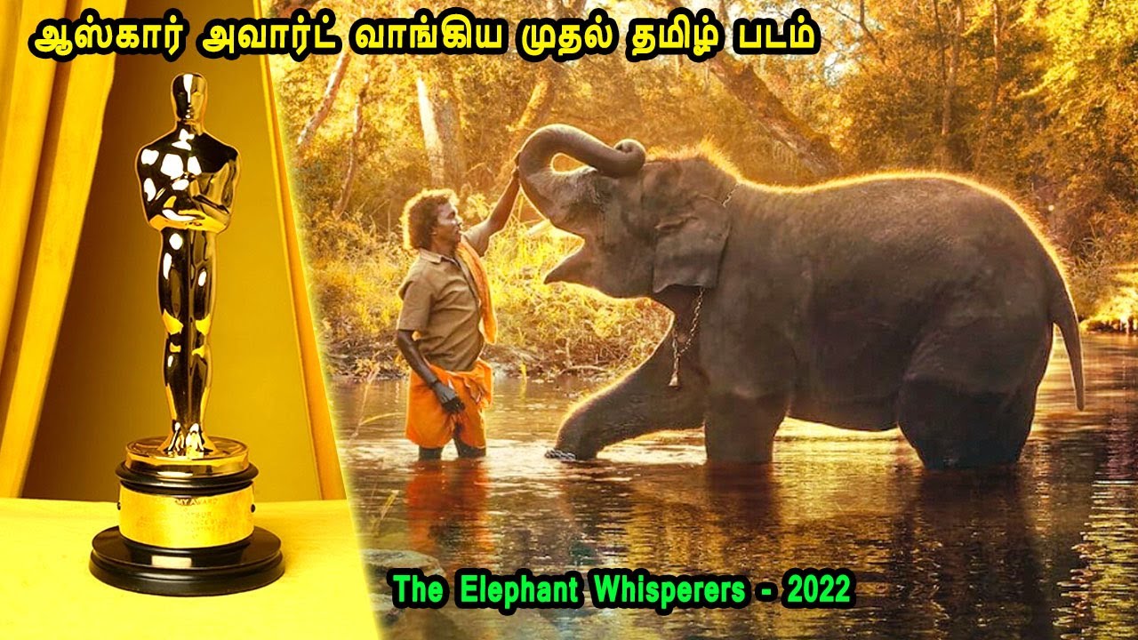 ஆஸ்கார்  அவார்ட்  வாங்கிய  முதல்  தமிழ்  படம்  - MR Tamilan Dubbed Movie Story & Review in Tamil
