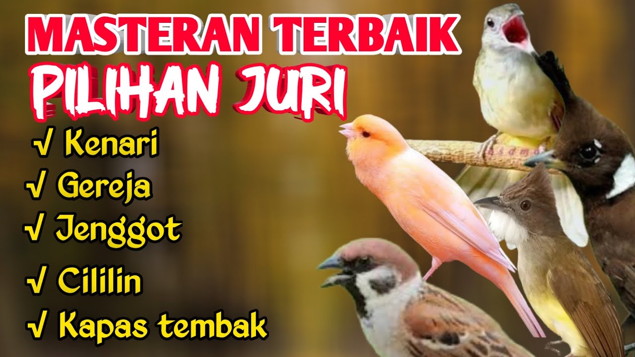 MASTERAN MURAI BATU FULL ISIAN MEWAH ROLL TEMBAKAN PILIHAN SUARA JERNIH  MATERI SANGAR