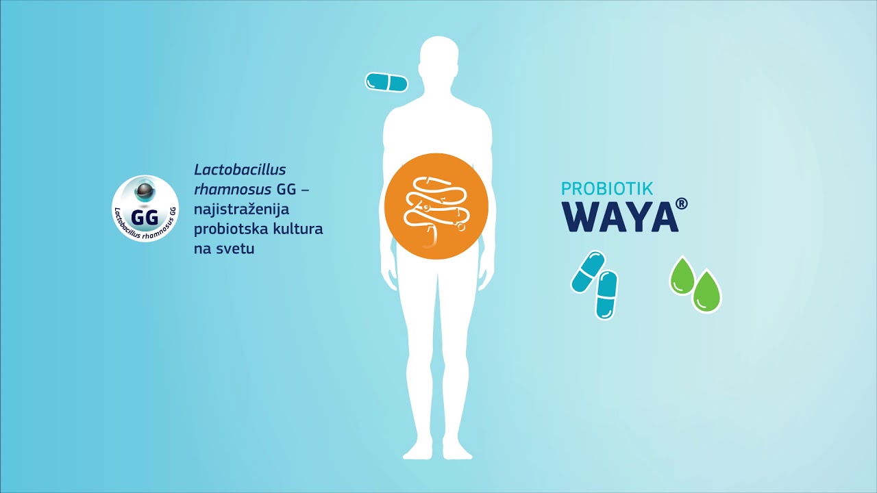 Probiotik WAYA - Pravi put do regulisanog varenja