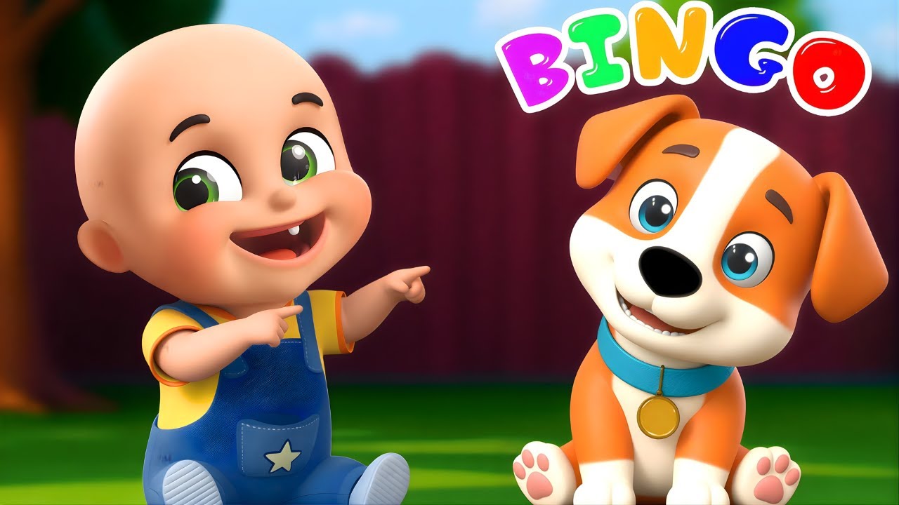 Baby Bingo Song New Compilation | Wheels On The Bus Song | Nursery Rhymes and Kids Songs | Bebe Bobo