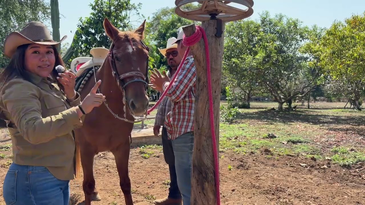 MONTANDO A CABALLO