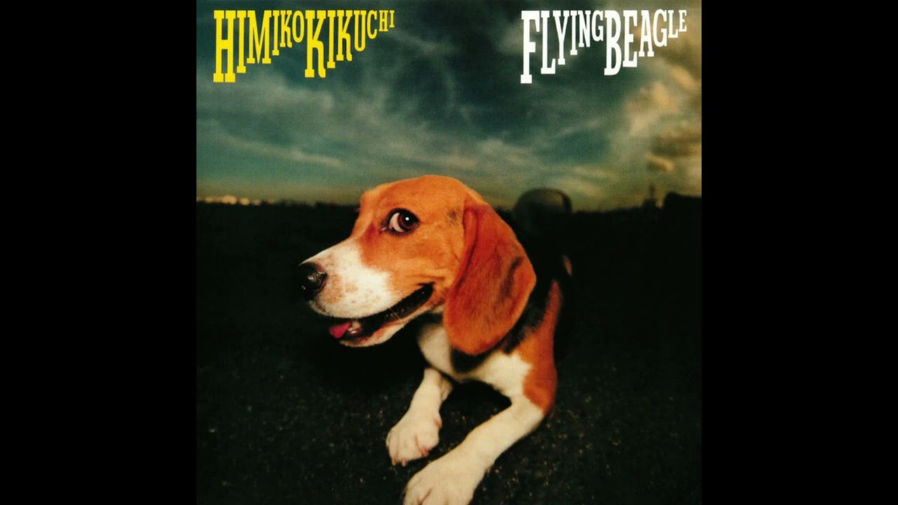 A Seagull & Clouds - Flying Beagle (Captain Chef Remaster)