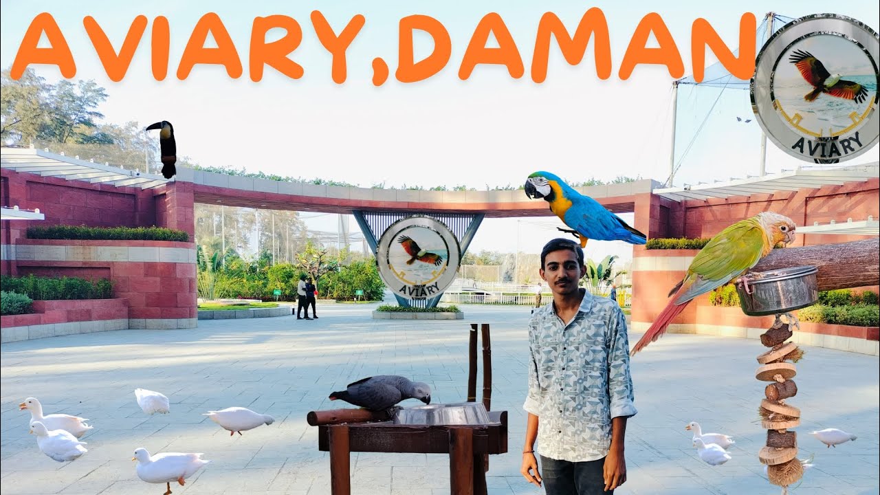 India's Biggest Exotic Bird Aviary In Daman. Bird's Aviary.🐦🕊️@hetulchavdagorvlogs9876 #daman