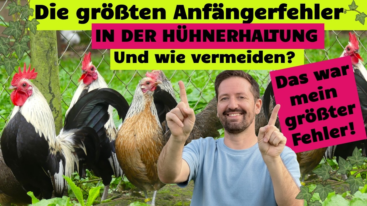 Hühnerhaltung: Die größten Anfängerfehler die vermeidbar wären von Gesetzeslage bis Stallbau #hühner