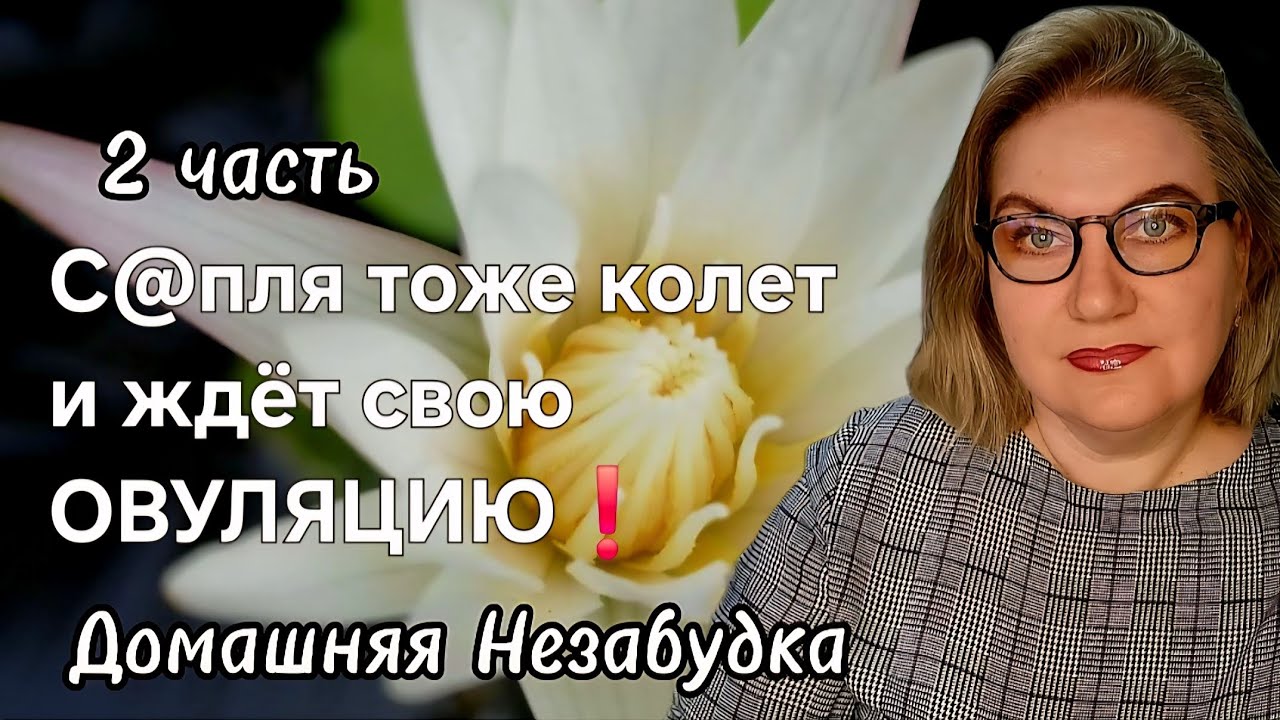 С@пля тоже колет и ждёт свою ОВУЛЯЦИЮ❗️