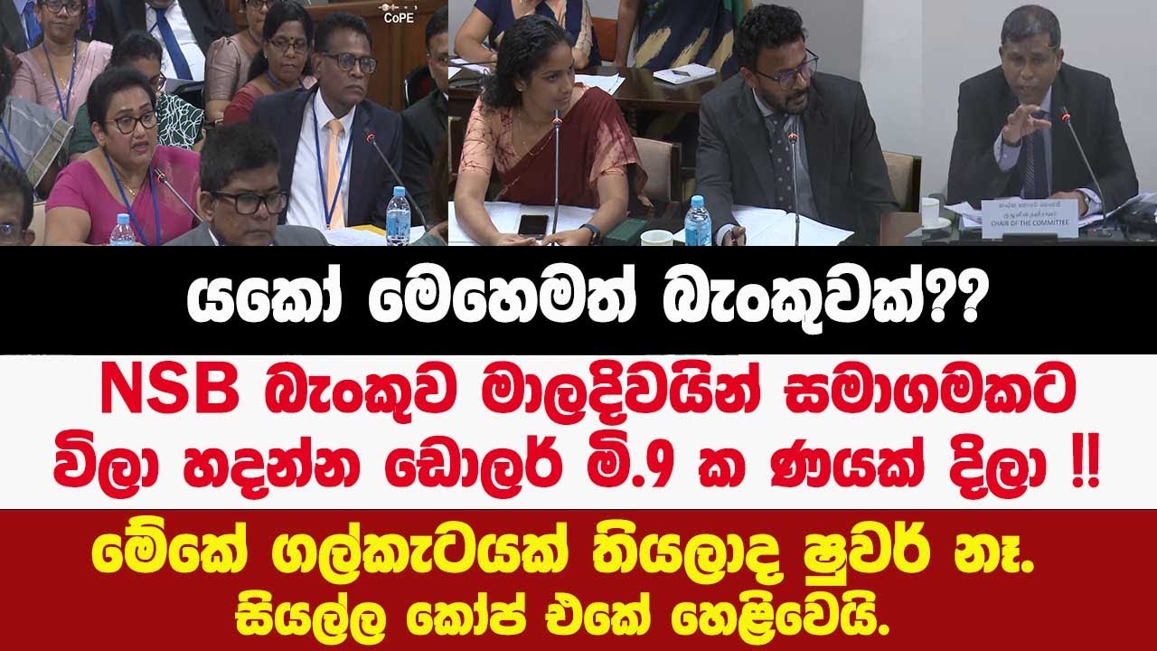 🔴යකෝ මෙහෙමත් බැංකු??NSB මාලදිවයින් සමාගමකට විලා හදන්න ඩො.මි.9 ක ණයක් දිලා!! COPE එකේ හෙළීවෙයි.