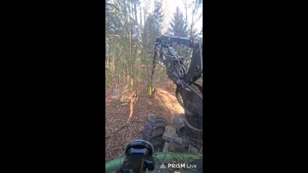Live streaming of MrBaumfäller