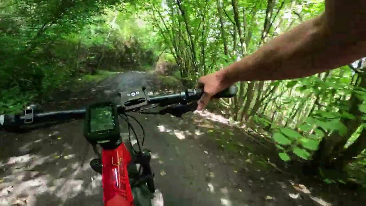 MTB XC Halde Hoheward Rundkurs 50km Runde 13 08 2023