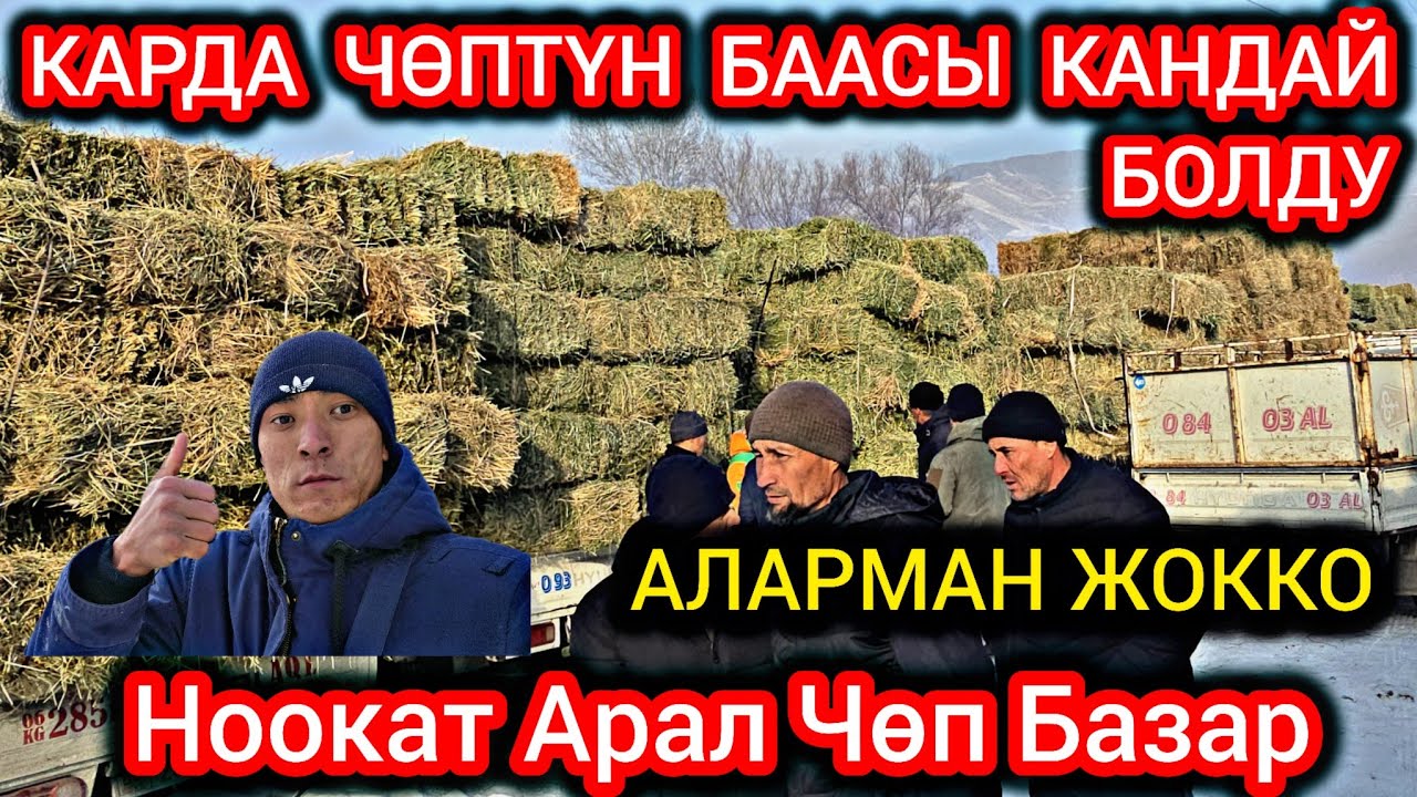 КАРДА ЧӨПТҮН БААСЫ КАНДАЙ БОЛДУ👍 АЛАРМАН АЗГО 😱 НООКАТ АРАЛ ЧӨП БАЗАР#байкж 