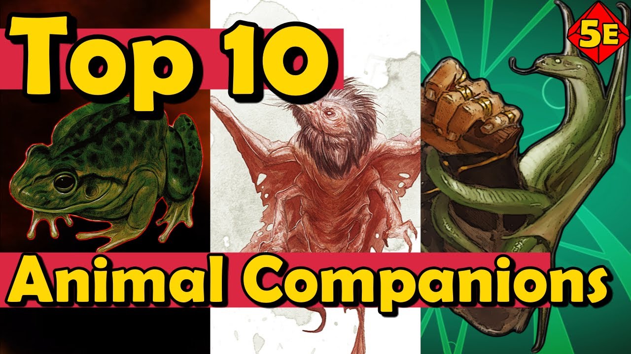 Top 10 Best Animal Companions For Beast Master Rangers in DnD 5E